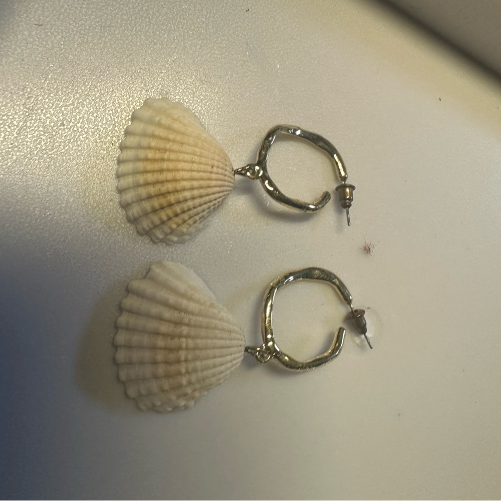 Gold and Cream Shell Earrings‎